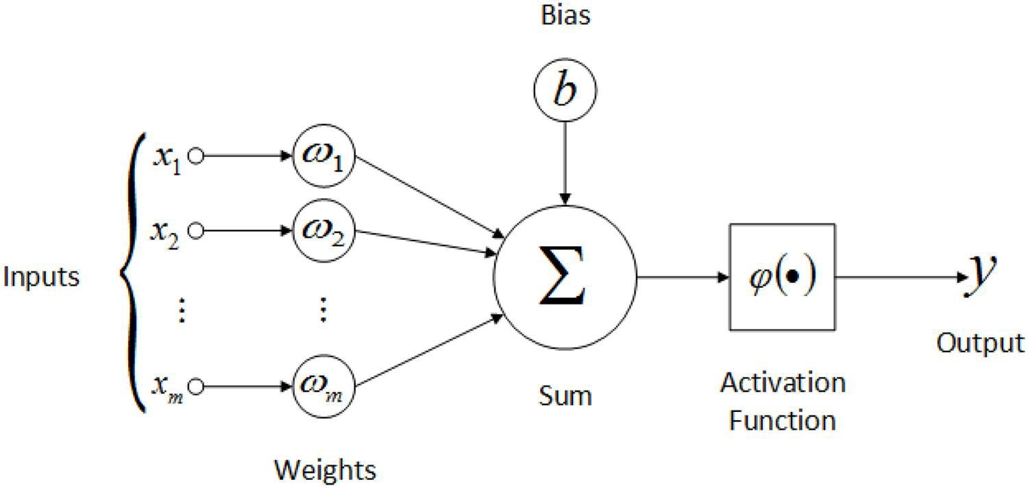 Forward Pass Diagram